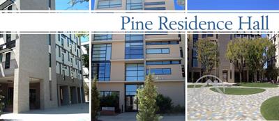Pine Residence